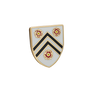 New College Lapel Pin