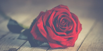 Why do we celebrate Valentines Day?