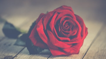 Why do we celebrate Valentines Day?