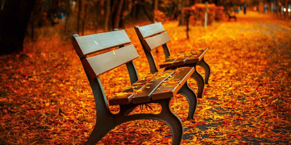 Style Advisor: Embracing Autumn