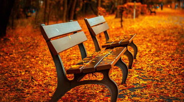 Style Advisor: Embracing Autumn