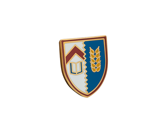 Kellogg College Lapel Pin