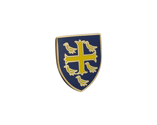 University College Lapel Pin