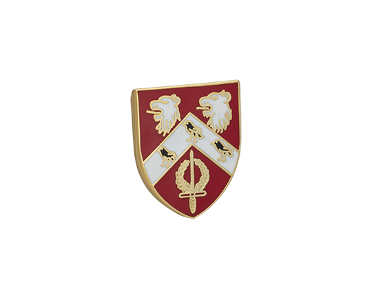 St Anne's College Lapel Pin